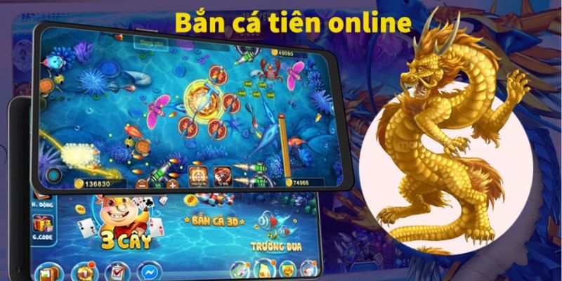 Bí kíp săn cá hiệu quả nhất từ các cao thủ