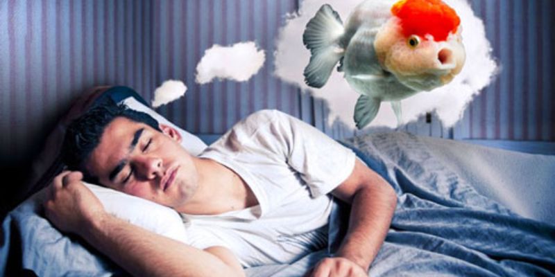 Một số ý nghĩa phổ biến của giấc mơ thấy cá