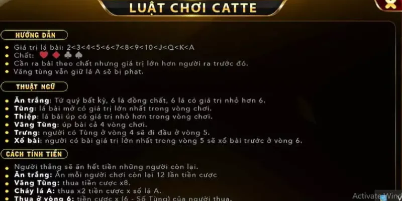 Các quy định cơ bản của game Catte